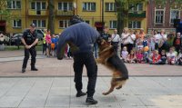 pokaz psa policyjnego